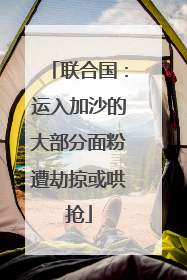 联合国：运入加沙的大部分面粉遭劫掠或哄抢