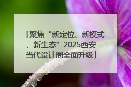 聚焦“新定位、新模式、新生态”2025西安当代设计周全面升级