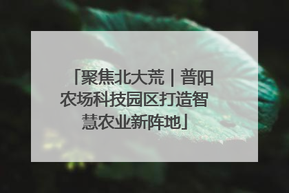 聚焦北大荒｜普阳农场科技园区打造智慧农业新阵地