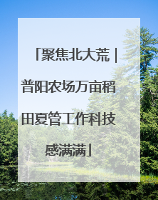 聚焦北大荒｜普阳农场万亩稻田夏管工作科技感满满