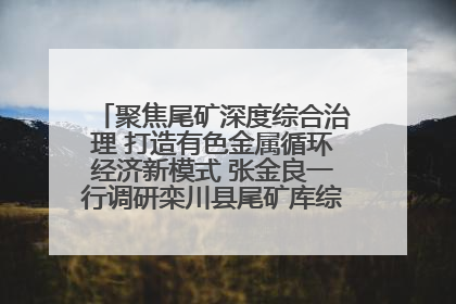 聚焦尾矿深度综合治理 打造有色金属循环经济新模式 张金良一行调研栾川县尾矿库综合治理工作