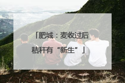 肥城：麦收过后秸秆有“新生”