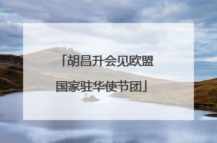 胡昌升会见欧盟国家驻华使节团