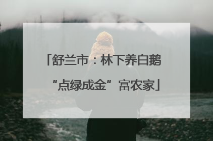舒兰市：林下养白鹅 “点绿成金”富农家