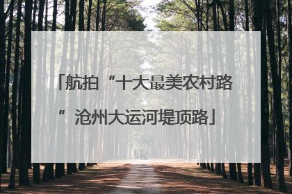 航拍“十大最美农村路”沧州大运河堤顶路