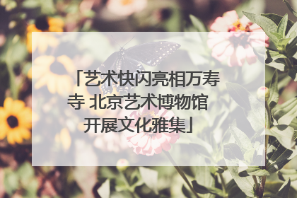 艺术快闪亮相万寿寺 北京艺术博物馆开展文化雅集