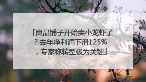 良品铺子开始卖小龙虾了？去年净利润下滑125%，专家称转型极为关键