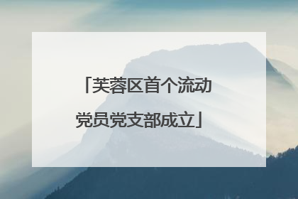 芙蓉区首个流动党员党支部成立