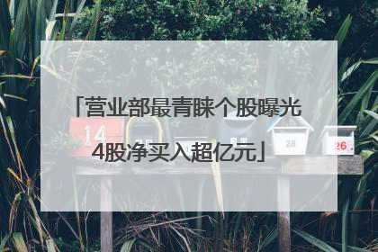 营业部最青睐个股曝光 4股净买入超亿元
