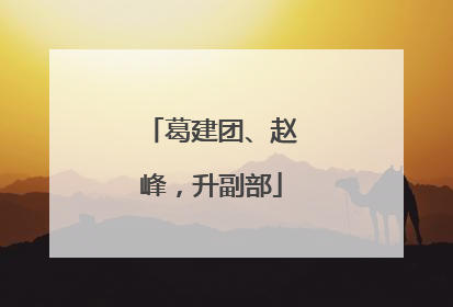 葛建团、赵峰，升副部
