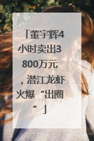 董宇辉4小时卖出3800万元，潜江龙虾火爆“出圈”