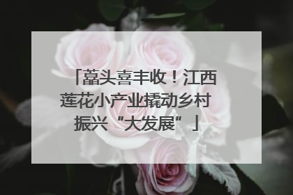 藠头喜丰收！江西莲花小产业撬动乡村振兴“大发展”