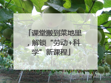 课堂搬到菜地里，解锁“劳动+科学”新课程