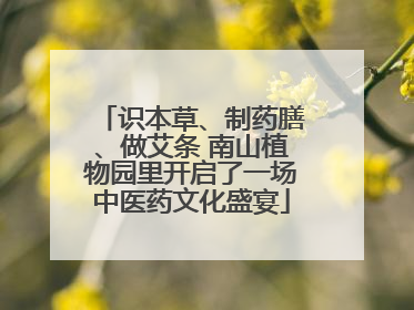 识本草、制药膳、做艾条 南山植物园里开启了一场中医药文化盛宴