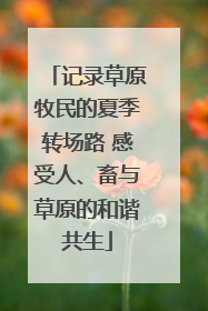 记录草原牧民的夏季转场路 感受人、畜与草原的和谐共生