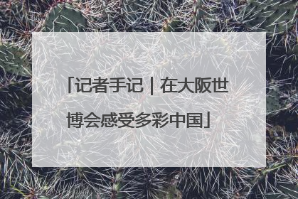 记者手记｜在大阪世博会感受多彩中国
