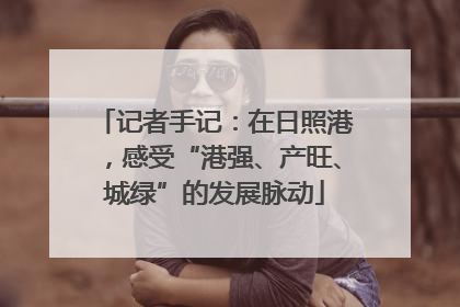 记者手记：在日照港，感受“港强、产旺、城绿”的发展脉动