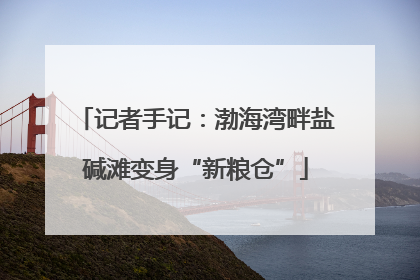 记者手记：渤海湾畔盐碱滩变身“新粮仓”