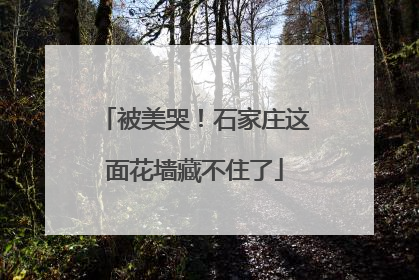 被美哭！石家庄这面花墙藏不住了