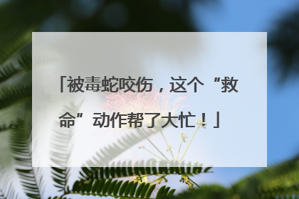 被毒蛇咬伤，这个“救命”动作帮了大忙！