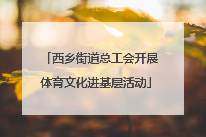西乡街道总工会开展体育文化进基层活动