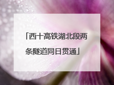 西十高铁湖北段两条隧道同日贯通