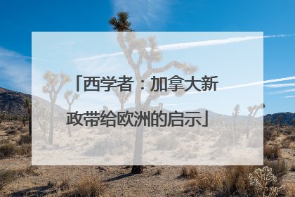 西学者：加拿大新政带给欧洲的启示