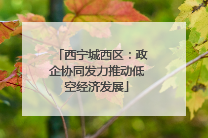 西宁城西区：政企协同发力推动低空经济发展