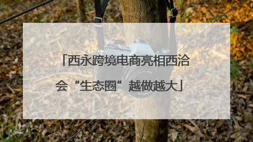 西永跨境电商亮相西洽会“生态圈”越做越大