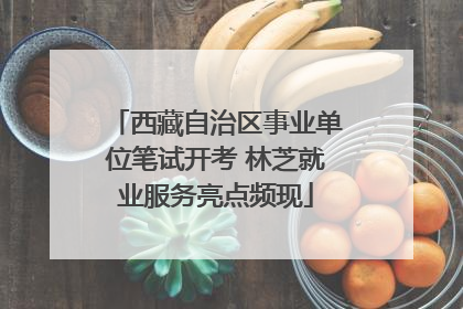 西藏自治区事业单位笔试开考 林芝就业服务亮点频现
