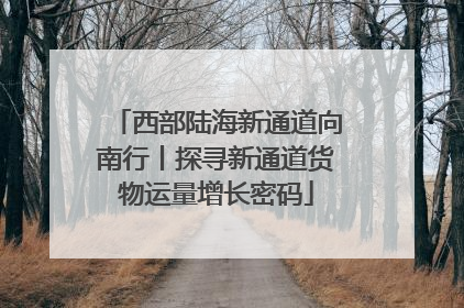 西部陆海新通道向南行丨探寻新通道货物运量增长密码