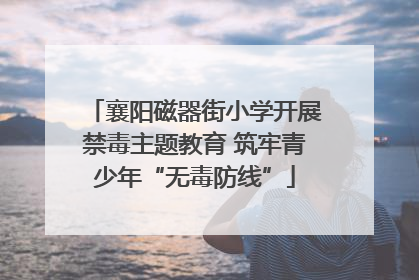 襄阳磁器街小学开展禁毒主题教育 筑牢青少年“无毒防线”