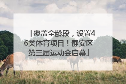 覆盖全龄段，设置46类体育项目！静安区第三届运动会启幕