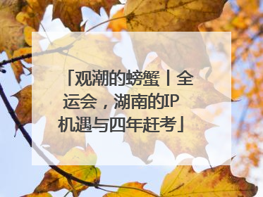 观潮的螃蟹丨全运会，湖南的IP机遇与四年赶考