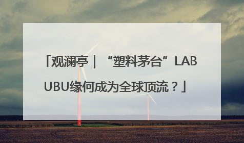 观澜亭｜“塑料茅台”LABUBU缘何成为全球顶流？