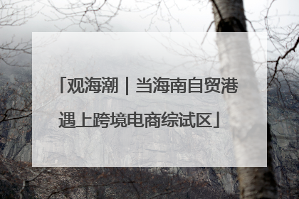 观海潮｜当海南自贸港遇上跨境电商综试区