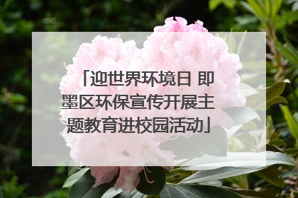迎世界环境日 即墨区环保宣传开展主题教育进校园活动