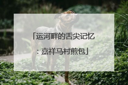 运河畔的舌尖记忆：嘉祥马村煎包