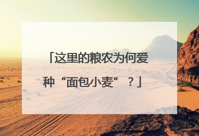 这里的粮农为何爱种“面包小麦”？
