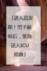 进入高发期！男子被咬后，紧急送入ICU抢救
