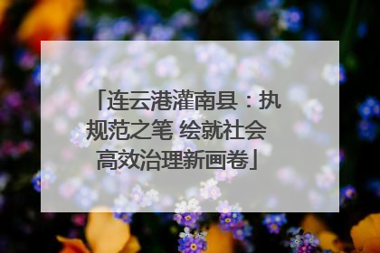 连云港灌南县：执规范之笔 绘就社会高效治理新画卷