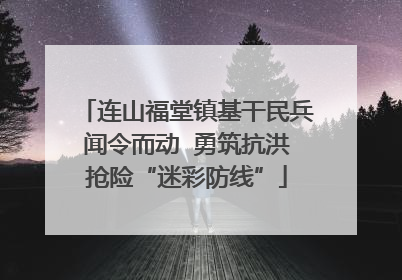 连山福堂镇基干民兵闻令而动  勇筑抗洪抢险“迷彩防线”