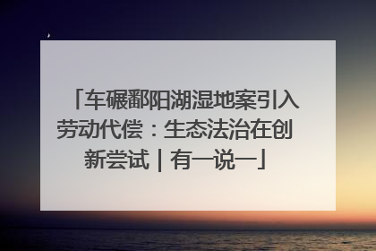 车碾鄱阳湖湿地案引入劳动代偿：生态法治在创新尝试｜有一说一