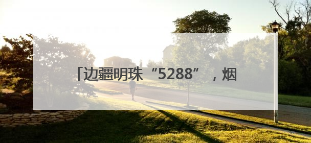 边疆明珠“5288”，烟台援藏解锁乡村振兴密码