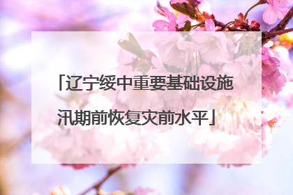 辽宁绥中重要基础设施汛期前恢复灾前水平