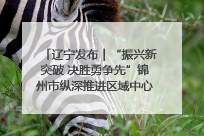 辽宁发布｜“振兴新突破 决胜勇争先”锦州市纵深推进区域中心城市建设 打造高质量发展新增长极