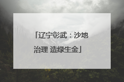 辽宁彰武：沙地治理 造绿生金