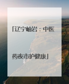 辽宁岫岩：中医药夜市护健康