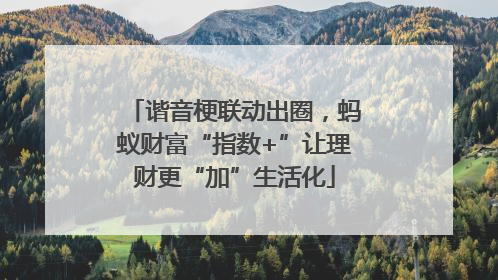 谐音梗联动出圈，蚂蚁财富“指数+”让理财更“加”生活化