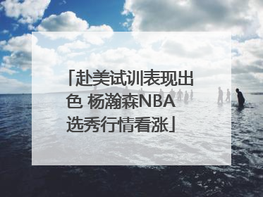 赴美试训表现出色 杨瀚森NBA选秀行情看涨